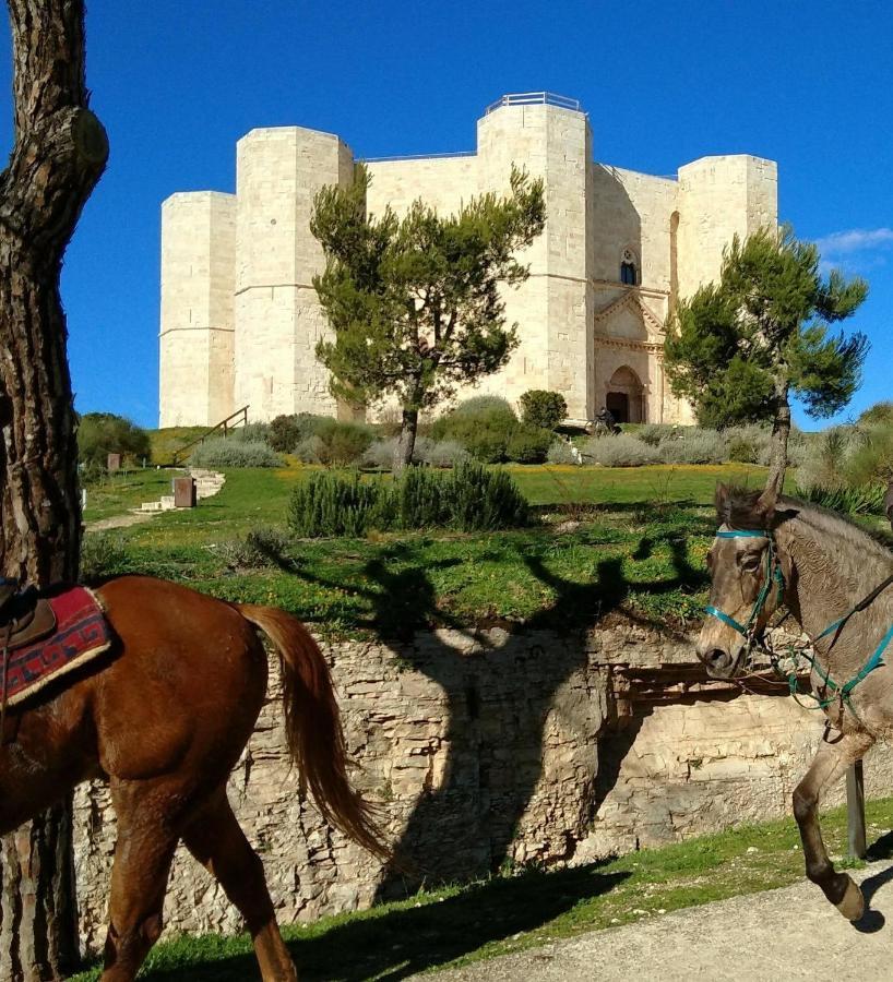 Casa Vacanza Dei Greci Barletta Exterior photo